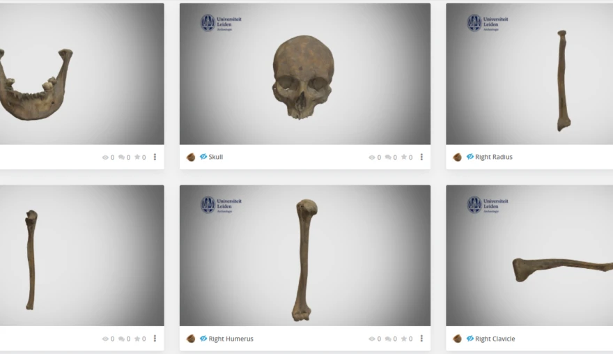 Bones on Demand: Using 3D models in archaeological teaching and learning