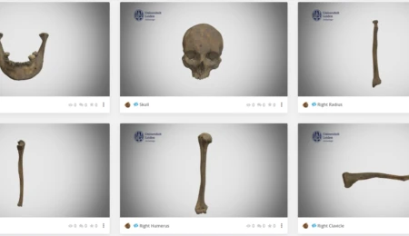 Bones on Demand: Using 3D models in archaeological teaching and learning
